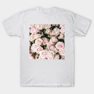 Classic blush roses T-Shirt